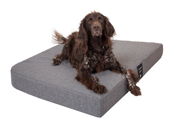 Premium Hundematte Medical grau